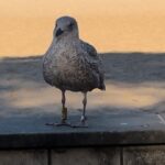 PXL_20241019_113549214